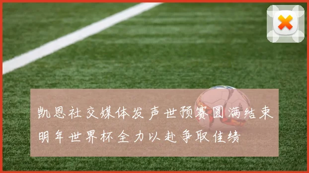 凯恩社交媒体发声世预赛圆满结束明年世界杯全力以赴争取佳绩