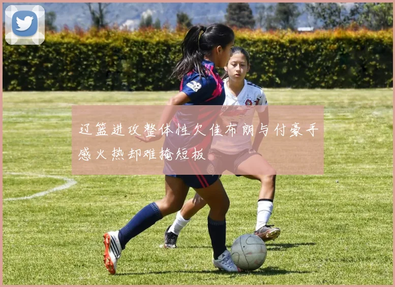 辽篮进攻整体性欠佳布朗与付豪手感火热却难掩短板