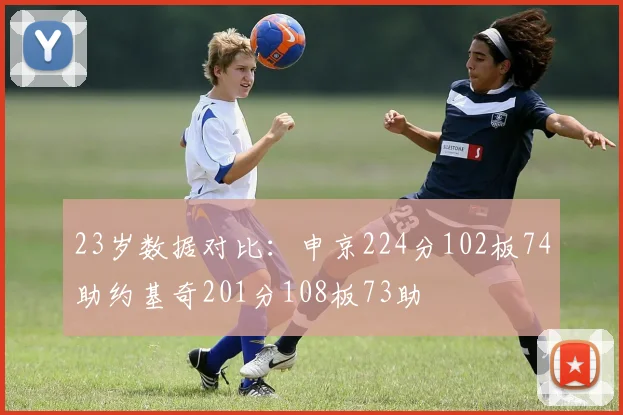 23岁数据对比：申京224分102板74助约基奇201分108板73助